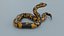 Python Snake - Low Poly- Game Ready - PBR