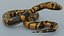 Python Snake - Low Poly- Game Ready - PBR