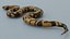 Python Snake - Low Poly- Game Ready - PBR