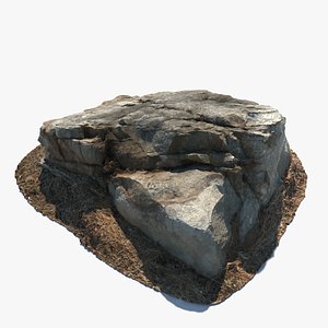 scan rock 3d model