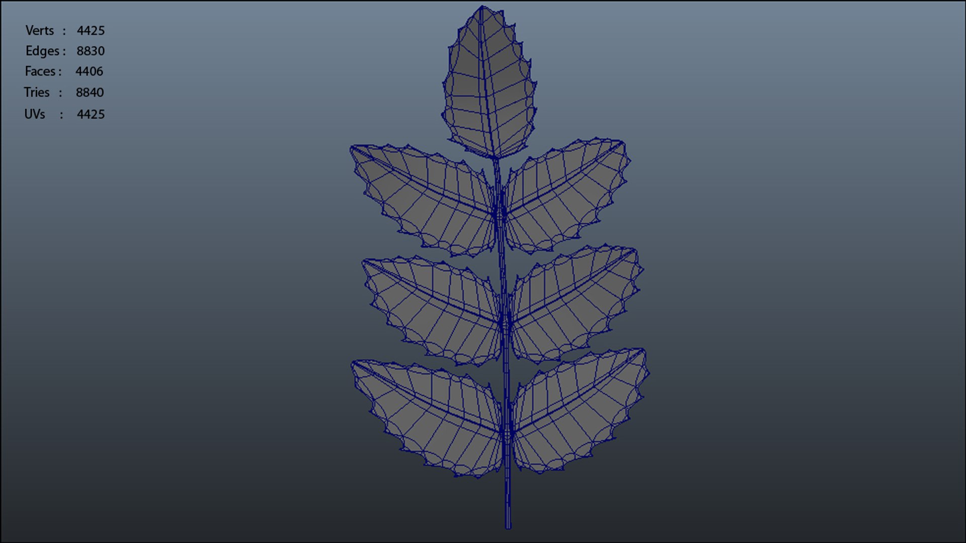 oregon grape leaf obj https://p.turbosquid.com/ts-thumb/jn/ac08pF/HH9rh4G4/oregongrapeleaf_polycount/jpg/1390893385/1920x1080/fit_q87/4ca4d12b54507e05ec27ab8e5036c36cbe9b2b78/oregongrapeleaf_polycount.jpg