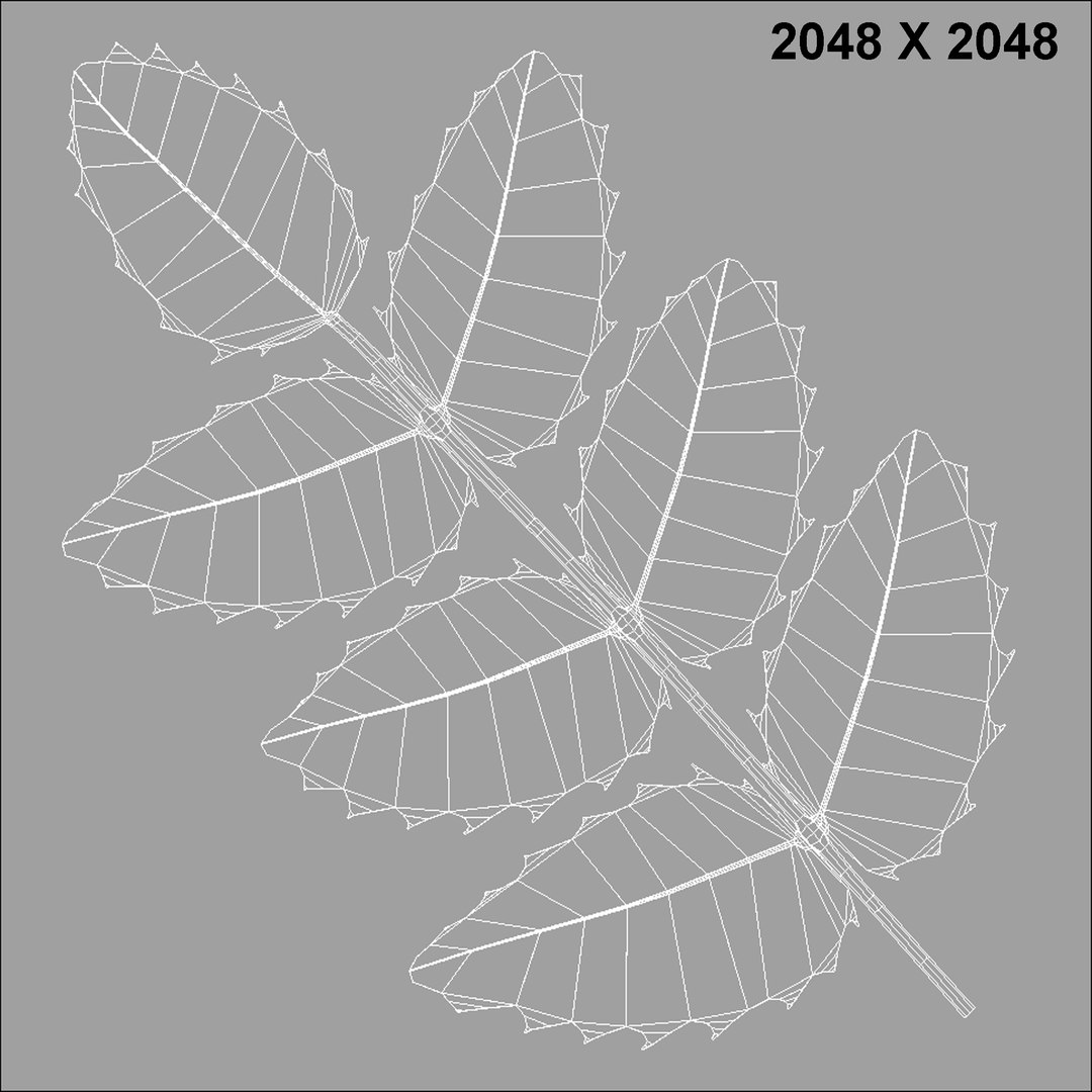 oregon grape leaf obj https://p.turbosquid.com/ts-thumb/jn/ac08pF/HkNOOAeo/oregongrapeleaf_uvs/jpg/1390893385/1920x1080/fit_q87/1b1c2f17d5dc0b8a9aad0e58638da96b078fd7f0/oregongrapeleaf_uvs.jpg