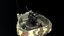 Flakpanzer 38 Gepard Tank Realtime
