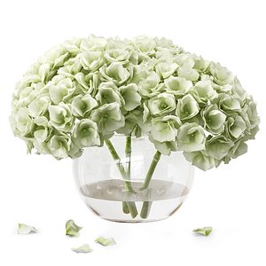 3D Hydrangea In A Vase
