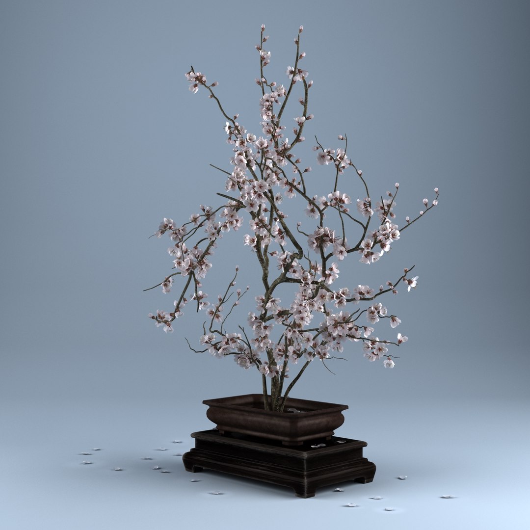 3d Ikebana Flower Model