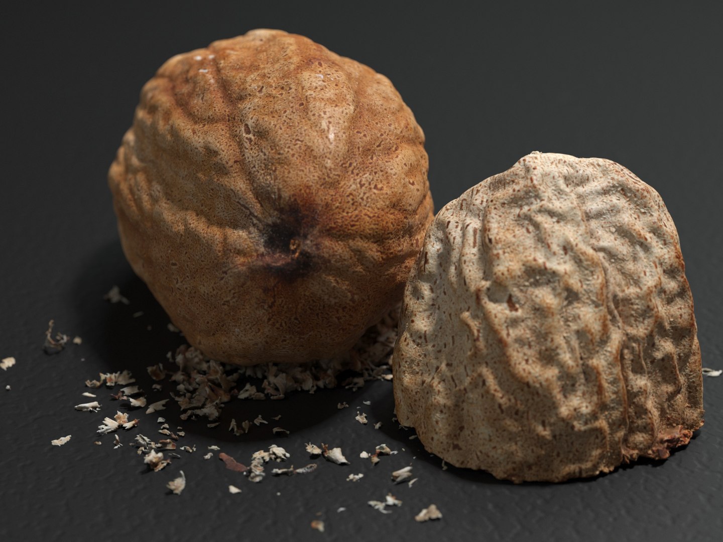 Nutmeg Seed 3D - TurboSquid 1555154