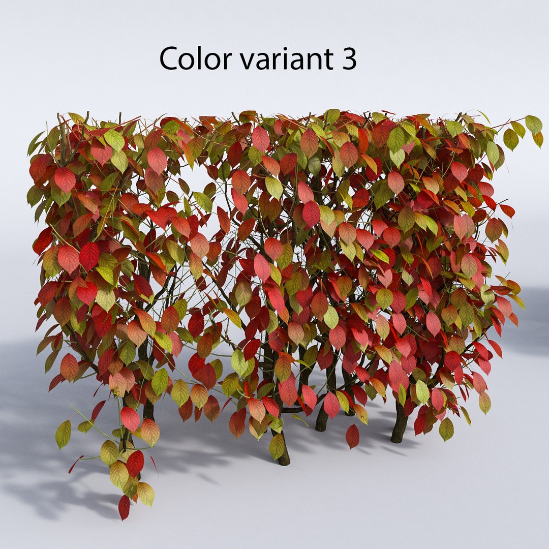 set autumn bushes 3d model https://p.turbosquid.com/ts-thumb/jn/z95wEc/1rWdB0KE/var_3/jpg/1446948628/1920x1080/fit_q87/f25b5449588e0a6714abd04aa520e4d74d5f8c4f/var_3.jpg