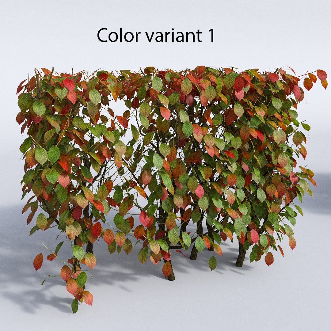 set autumn bushes 3d model https://p.turbosquid.com/ts-thumb/jn/z95wEc/2YevxImR/var_1/jpg/1446948628/1920x1080/fit_q87/3ab5e0f0b5657f6edb5f16cb49cc8e19f5167e2e/var_1.jpg