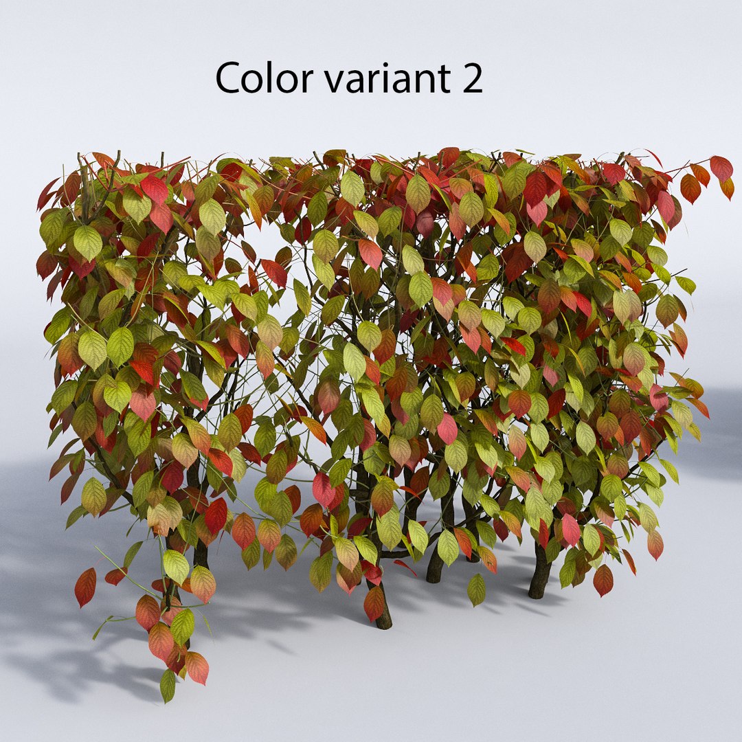 set autumn bushes 3d model https://p.turbosquid.com/ts-thumb/jn/z95wEc/WEsyMC0O/var_2/jpg/1446948628/1920x1080/fit_q87/9f54e75b521f046bdb502b0e9b2e3f878e02396f/var_2.jpg