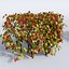 Autumn bushes set
