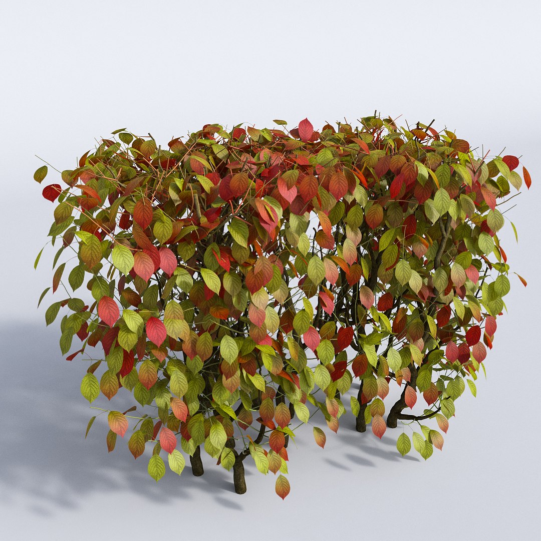 set autumn bushes 3d model https://p.turbosquid.com/ts-thumb/jn/z95wEc/cqQU8rxc/5/jpg/1446948046/1920x1080/fit_q87/9b26a8858d1ecb374c002c41499b852f46330d2c/5.jpg