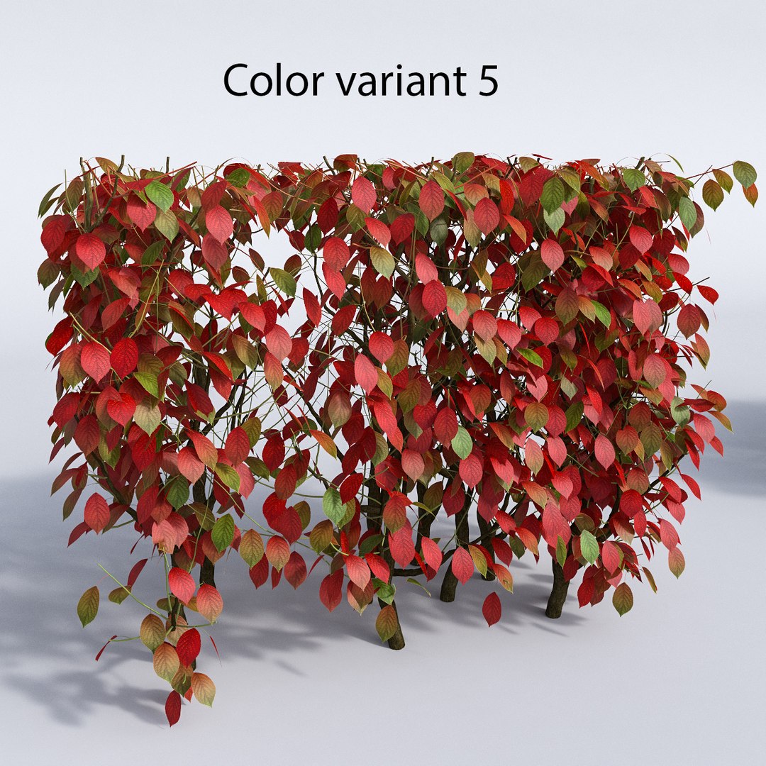 set autumn bushes 3d model https://p.turbosquid.com/ts-thumb/jn/z95wEc/gNKEZXYL/var_5/jpg/1446984359/1920x1080/fit_q87/f44231429c35625f98f11e42747526280c65618f/var_5.jpg