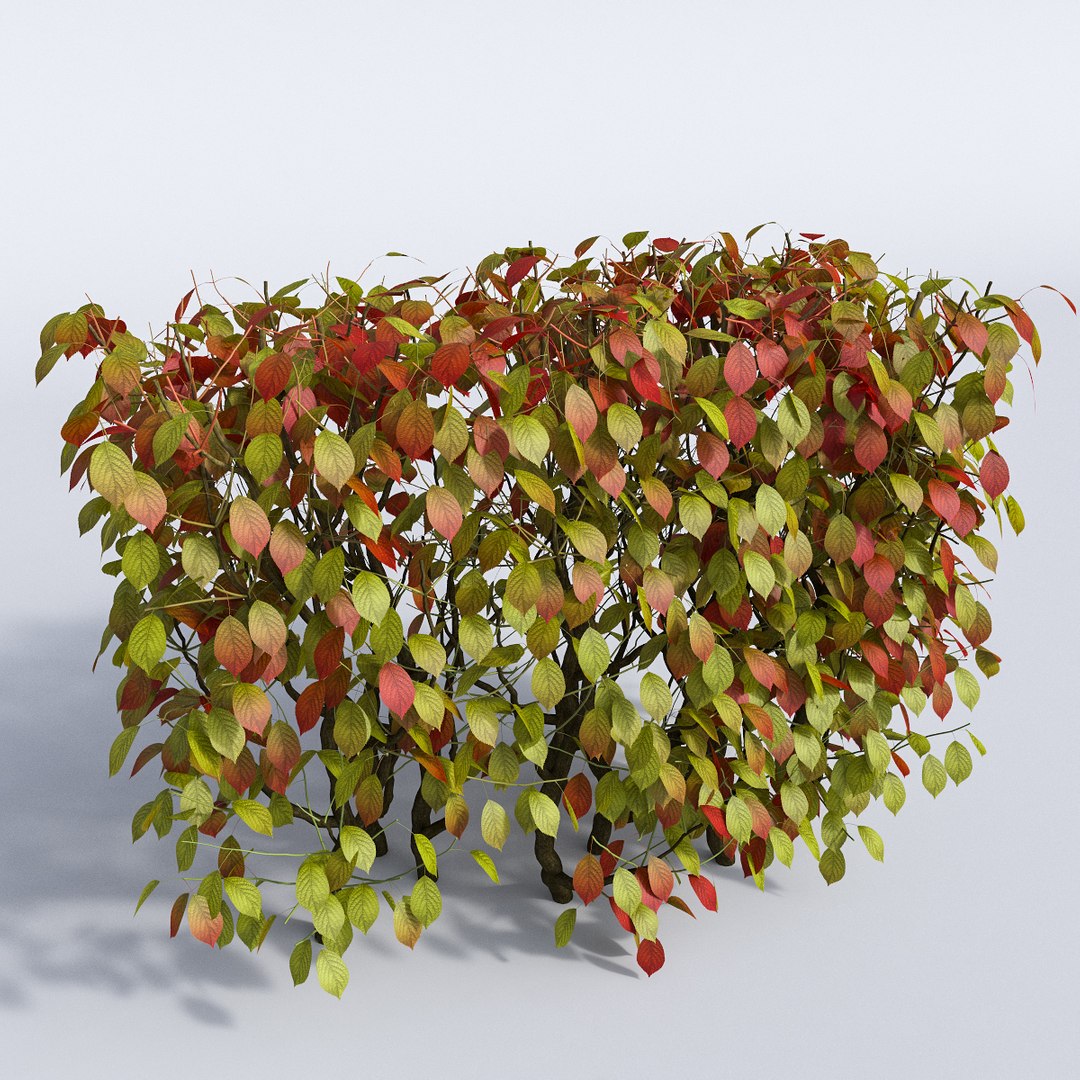 set autumn bushes 3d model https://p.turbosquid.com/ts-thumb/jn/z95wEc/zgtXSnxR/11/jpg/1446948063/1920x1080/fit_q87/0a71a901b45380dc153394cd3d04621d38911efe/11.jpg