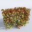 Autumn bushes set
