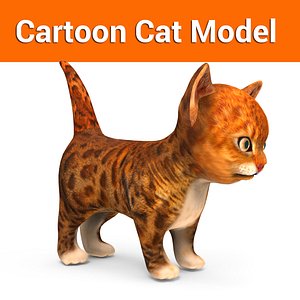 cute kitten model