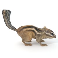 Chipmunk