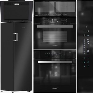 MAUNFELD Appliance Collection 09 YT000000316 KA-00015450 YT000008298 KA-00012721 KA-00020998 3D model