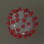 coronavirus 2019-ncov 3D model
