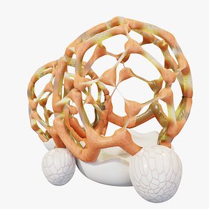 Glowing Organic Lattice Cage Fungus Cluster PBR