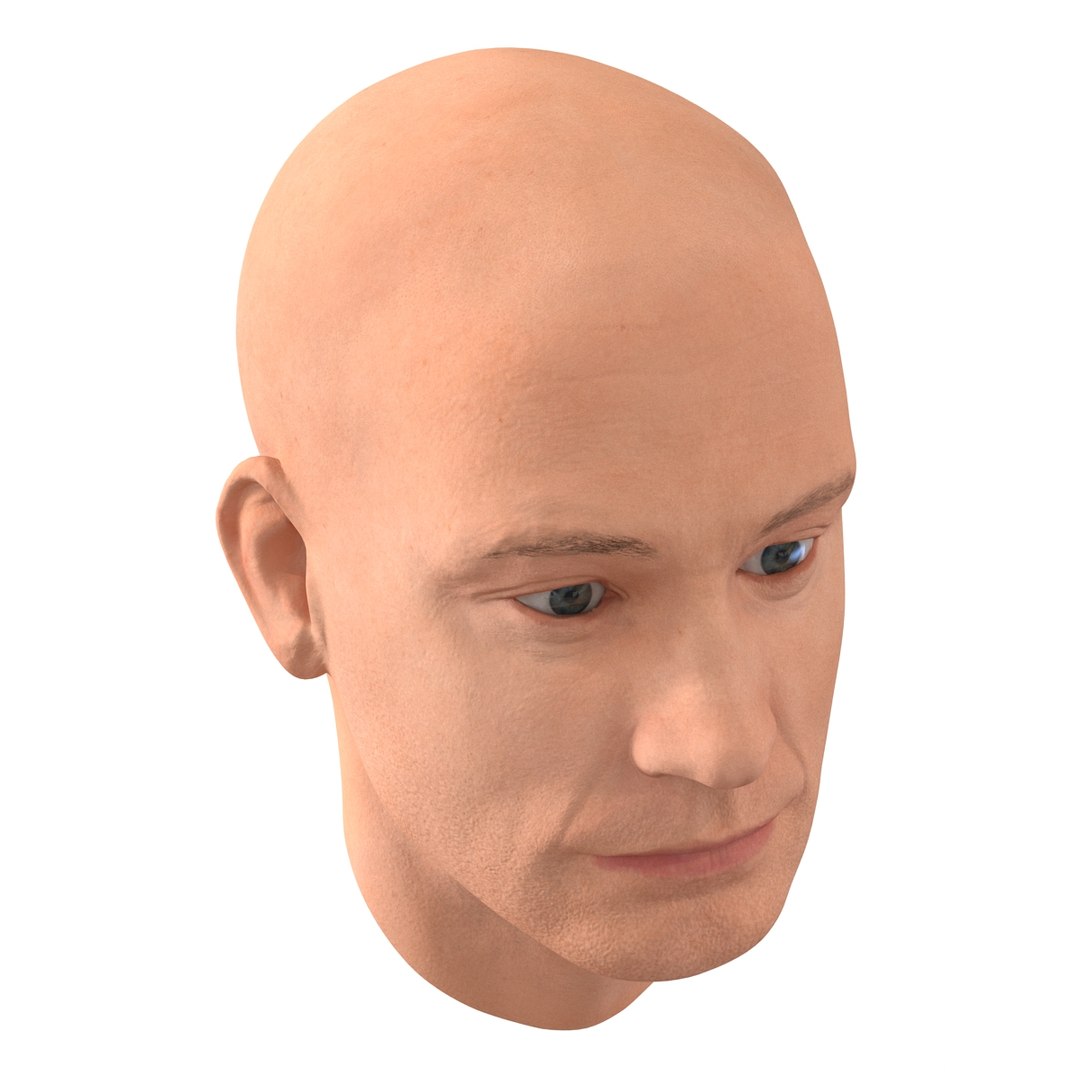 max male head 4 rigged https://p.turbosquid.com/ts-thumb/jo/T9s9nQ/AZnict7v/maleheadrigged3dmodel12/jpg/1458104739/1920x1080/fit_q87/32597471411a4feb1c4acc3af3370f1212068532/maleheadrigged3dmodel12.jpg