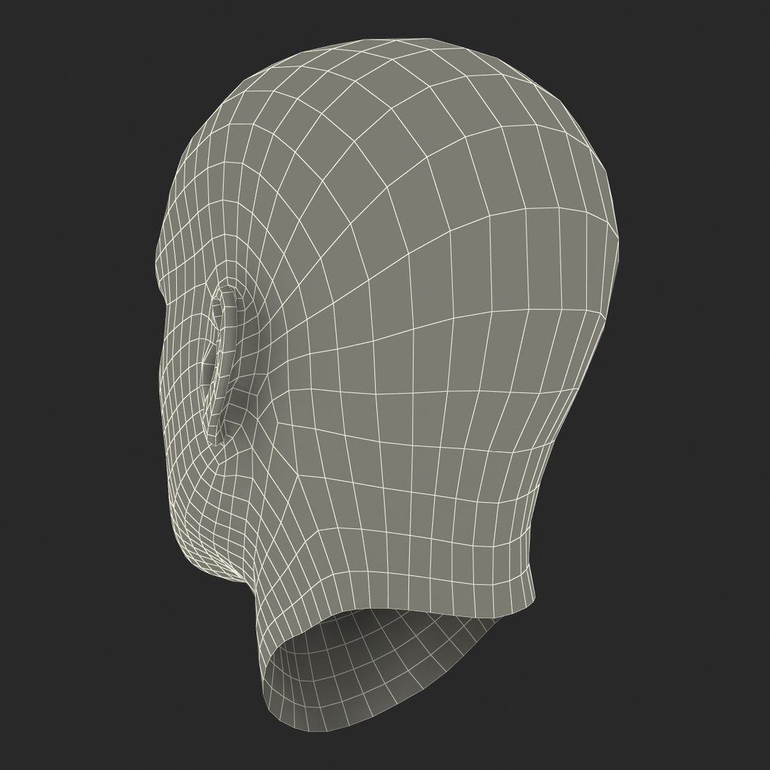 max male head 4 rigged https://p.turbosquid.com/ts-thumb/jo/T9s9nQ/CW8whUi8/maleheadrigged3dmodel23/jpg/1458104740/1920x1080/fit_q87/039030a587ff6baf0b4a5c3cafacd83c1f9602d7/maleheadrigged3dmodel23.jpg