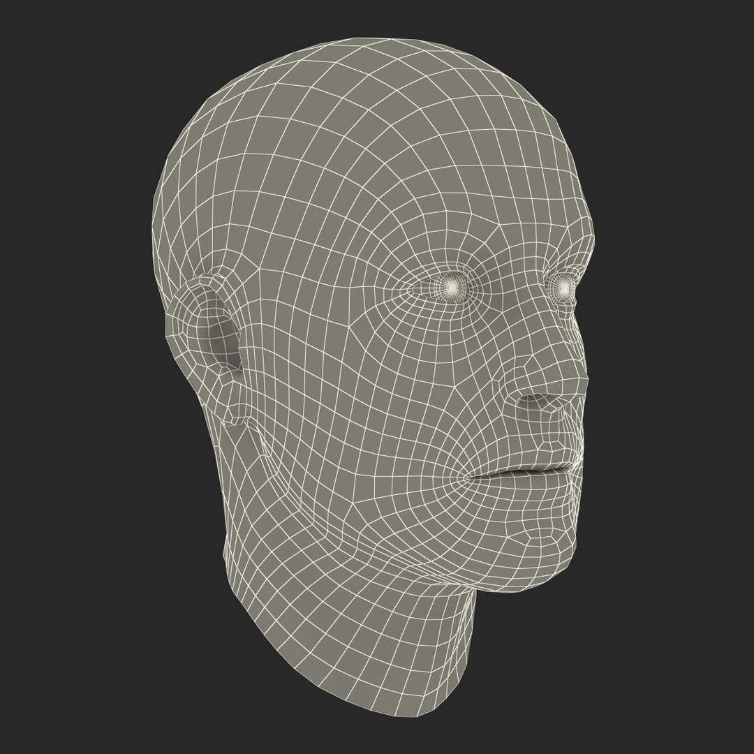 max male head 4 rigged https://p.turbosquid.com/ts-thumb/jo/T9s9nQ/GsnAW1Z3/maleheadrigged3dmodel21/jpg/1458104740/1920x1080/fit_q87/7592ac6020f94adf7c2a193d3becaac061e21029/maleheadrigged3dmodel21.jpg