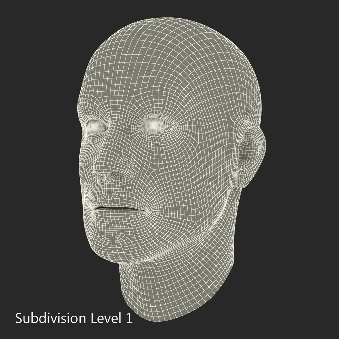 max male head 4 rigged https://p.turbosquid.com/ts-thumb/jo/T9s9nQ/J0mHI7Ll/maleheadrigged3dmodel17/jpg/1458104740/1920x1080/fit_q87/ee70c5c382190f18add20562454006a27f52050a/maleheadrigged3dmodel17.jpg