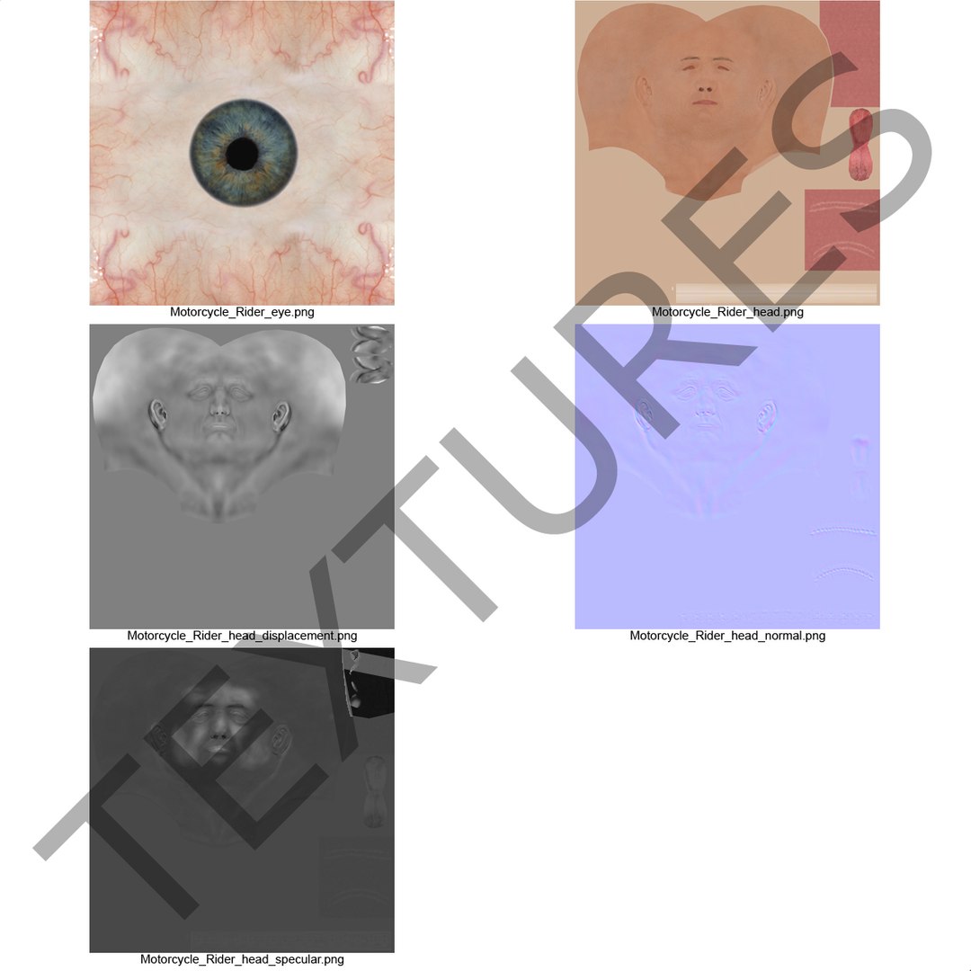 max male head 4 rigged https://p.turbosquid.com/ts-thumb/jo/T9s9nQ/S7vaAGeF/maleheadrigged3dmodel19/jpg/1458104740/1920x1080/fit_q87/c8edd68e7876bc57791aad5e034f0a58fe6e3e4f/maleheadrigged3dmodel19.jpg