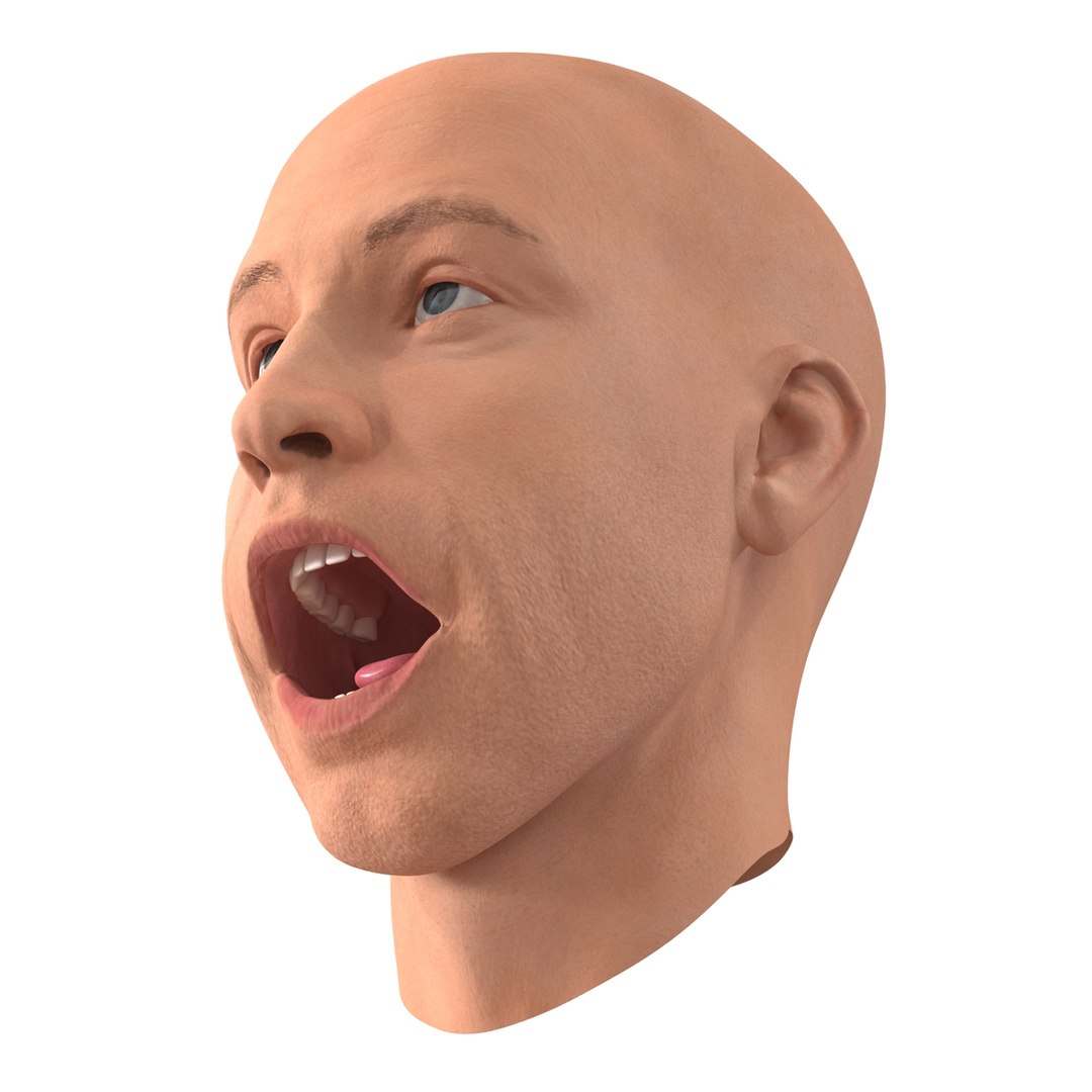max male head 4 rigged https://p.turbosquid.com/ts-thumb/jo/T9s9nQ/Wo8U6SxH/maleheadrigged3dmodel07/jpg/1458104739/1920x1080/fit_q87/803cfcf0394ab81e97eab0ceafa9314e5efa0aab/maleheadrigged3dmodel07.jpg