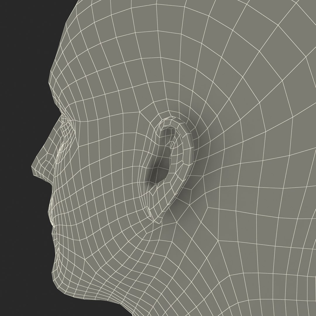 max male head 4 rigged https://p.turbosquid.com/ts-thumb/jo/T9s9nQ/fSKTlujc/maleheadrigged3dmodel28/jpg/1458104741/1920x1080/fit_q87/2b689e0b6b5d91404857800434bf51feb24ebece/maleheadrigged3dmodel28.jpg