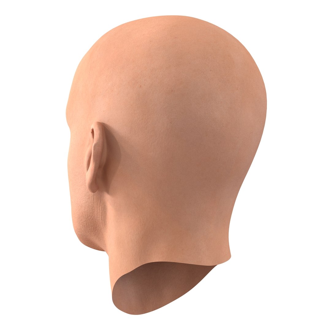 max male head 4 rigged https://p.turbosquid.com/ts-thumb/jo/T9s9nQ/gmUVxtth/maleheadrigged3dmodel11/jpg/1458104739/1920x1080/fit_q87/330b51267d5378bce44dac5a91f4645112f1fdae/maleheadrigged3dmodel11.jpg