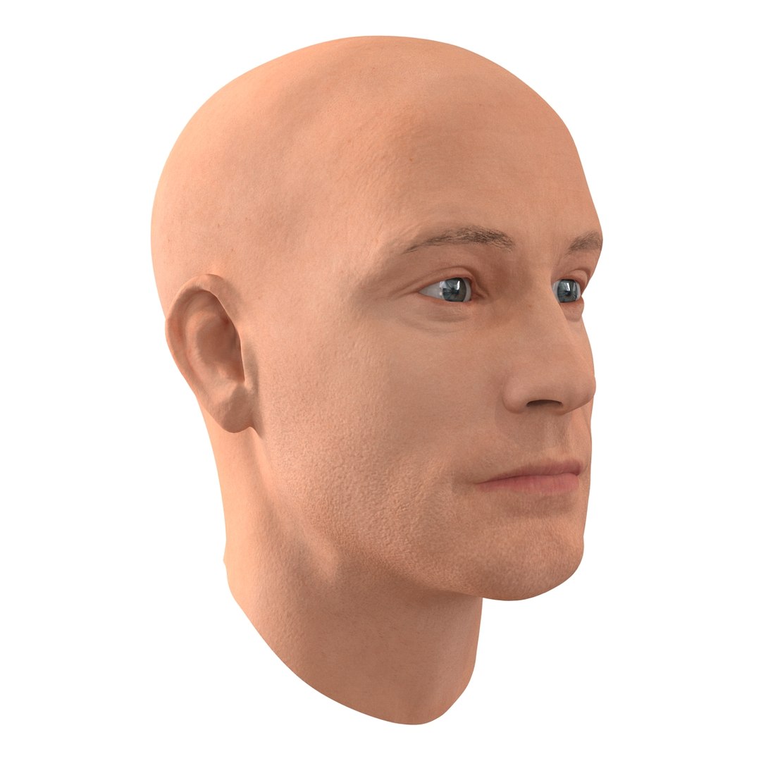 max male head 4 rigged https://p.turbosquid.com/ts-thumb/jo/T9s9nQ/jwopf6zY/maleheadrigged3dmodel09/jpg/1458104739/1920x1080/fit_q87/ea560db71ae1fd12d59fe87efe3e0d864c1073c8/maleheadrigged3dmodel09.jpg