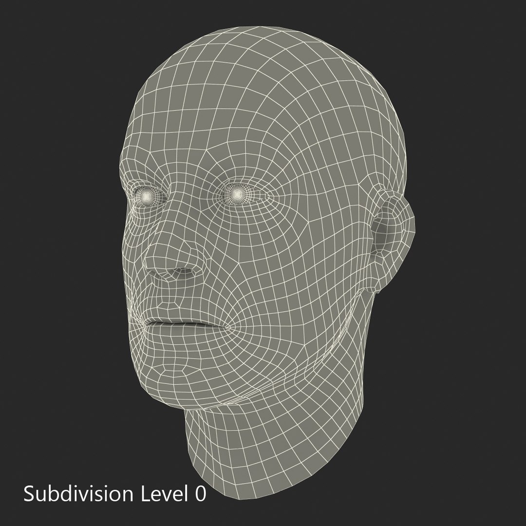 max male head 4 rigged https://p.turbosquid.com/ts-thumb/jo/T9s9nQ/qiuwx8jg/maleheadrigged3dmodel16/jpg/1458104740/1920x1080/fit_q87/b81db806c26440d2502bc25861b5e9d57ca075ae/maleheadrigged3dmodel16.jpg