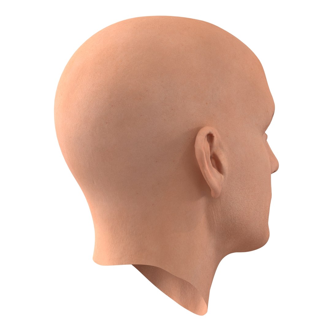 max male head 4 rigged https://p.turbosquid.com/ts-thumb/jo/T9s9nQ/vxnyYZCZ/maleheadrigged3dmodel10/jpg/1458104739/1920x1080/fit_q87/cf2222402b33bac0cccd5efb0bba27d2717c9fac/maleheadrigged3dmodel10.jpg