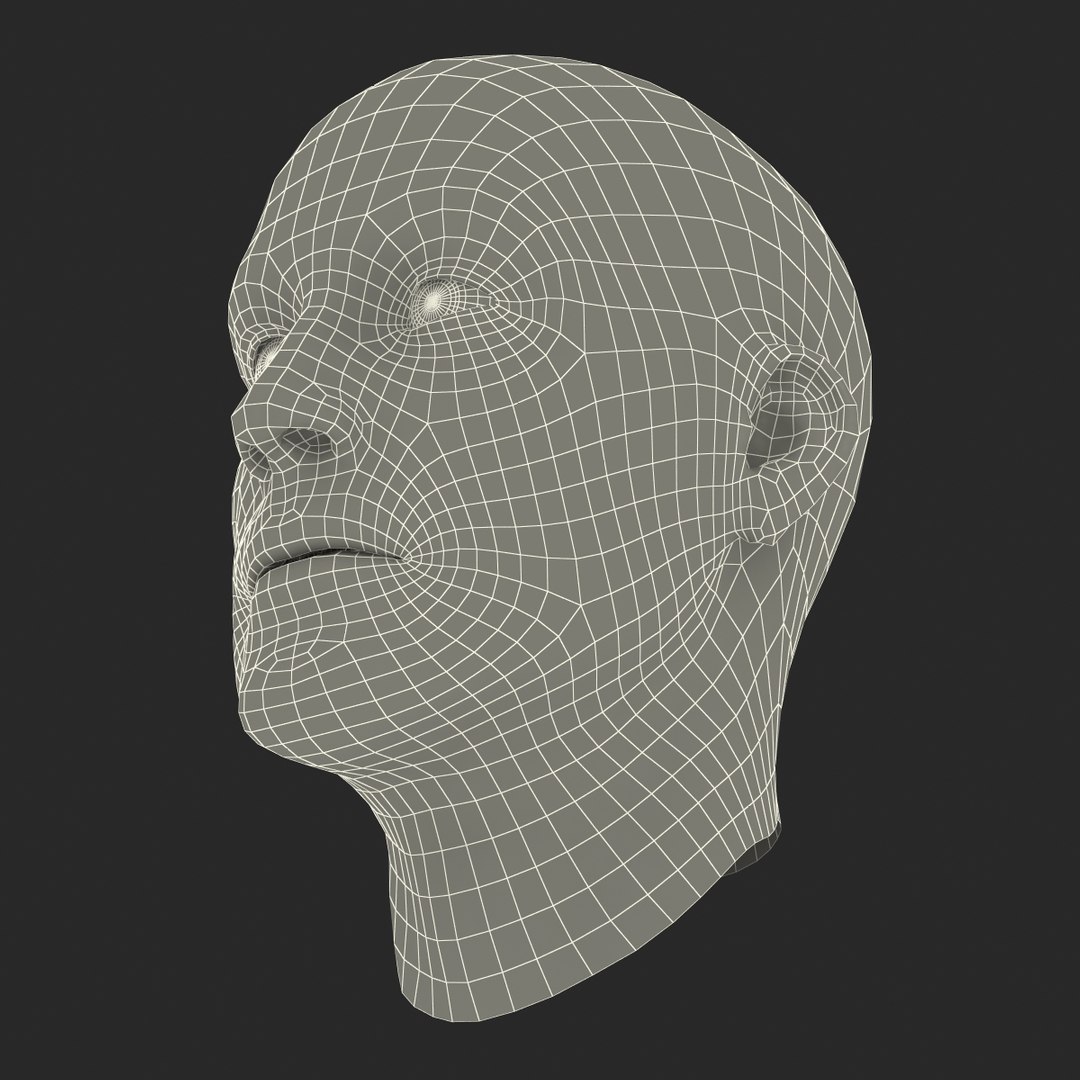 max male head 4 rigged https://p.turbosquid.com/ts-thumb/jo/T9s9nQ/z5aTByzB/maleheadrigged3dmodel24/jpg/1458104740/1920x1080/fit_q87/75da78cb5a425694224d1a2519b35febcdce7cf4/maleheadrigged3dmodel24.jpg