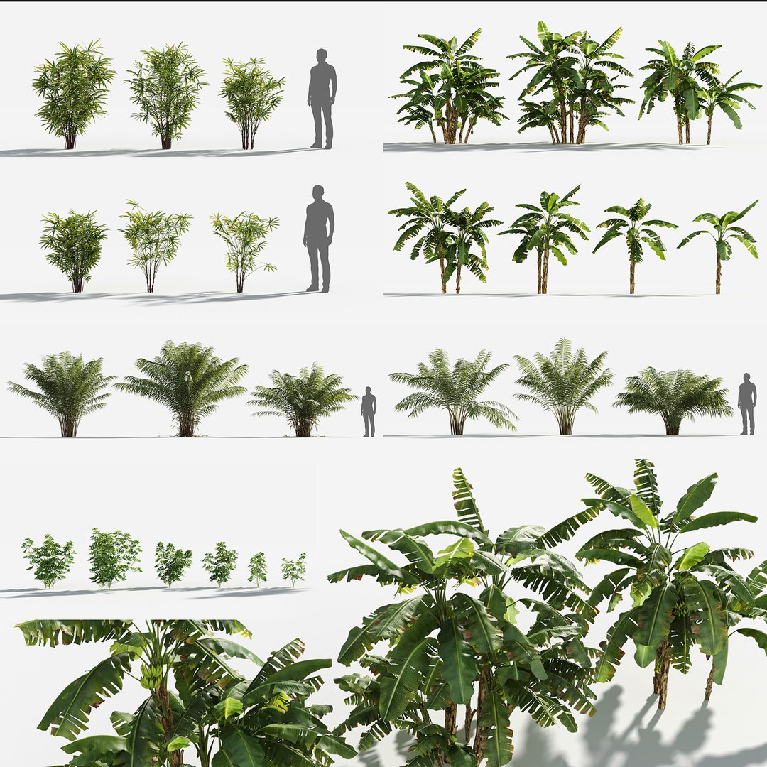 3D Plants Pack 5: Rainforest: GrowFX https://p.turbosquid.com/ts-thumb/jo/U40AKy/It/_rainforest_plants/jpg/1623750173/1920x1080/fit_q87/22b512f1bfe7e79a7e0e54b46677ea9d338974ca/_rainforest_plants.jpg