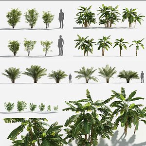 Plants Pack 5: Rainforest: GrowFX