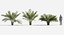 Plants Pack 5: Rainforest: GrowFX