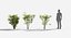 3D Plants Pack 5: Rainforest: GrowFX