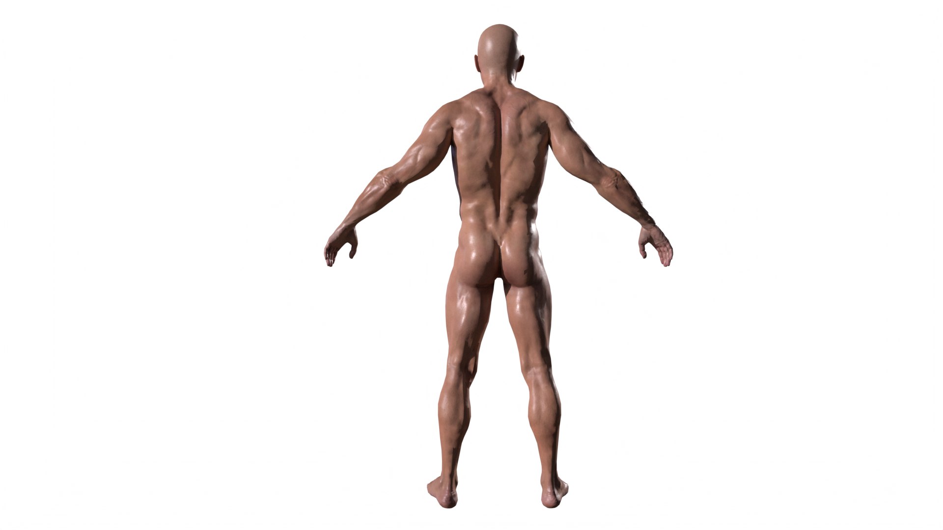 3D Realistic Body Builder character men https://p.turbosquid.com/ts-thumb/jo/b164LZ/4e/tbrender_003/png/1667639144/1920x1080/fit_q87/b7ebf941bf3051ad9b0de29adc0908a885cd4d59/tbrender_003.jpg