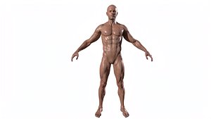 3D Realistic Body Builder character men