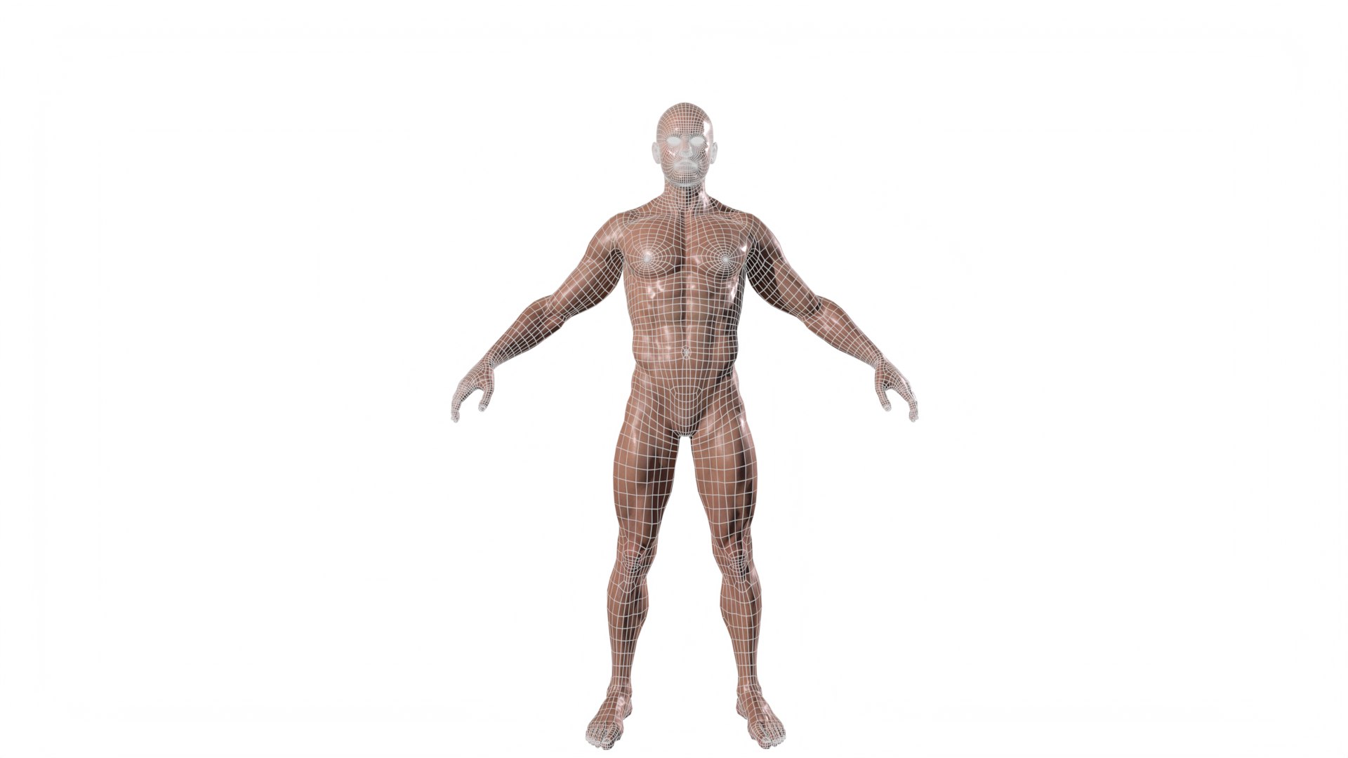 3D Realistic Body Builder character men https://p.turbosquid.com/ts-thumb/jo/b164LZ/XH/tbrender_006/png/1667639146/1920x1080/fit_q87/f101af6acd74550bcdb1fc9d7a7ae2e90c1e754f/tbrender_006.jpg