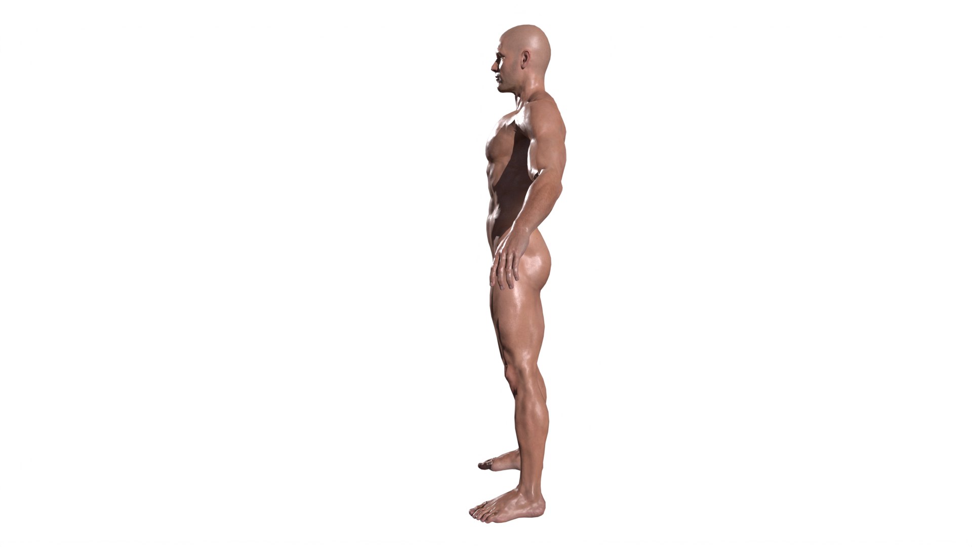 3D Realistic Body Builder character men https://p.turbosquid.com/ts-thumb/jo/b164LZ/bm/tbrender_002/png/1667639143/1920x1080/fit_q87/b16c328e3ffd5b3150751bb1c9e331a8133c5d00/tbrender_002.jpg