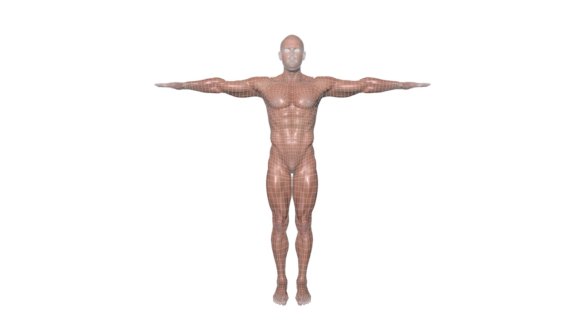 3D Realistic Body Builder character men https://p.turbosquid.com/ts-thumb/jo/b164LZ/qy/tbrender_007/png/1667643249/1920x1080/fit_q87/e14176055c766f38d41a221e839a2bb3fd93790e/tbrender_007.jpg