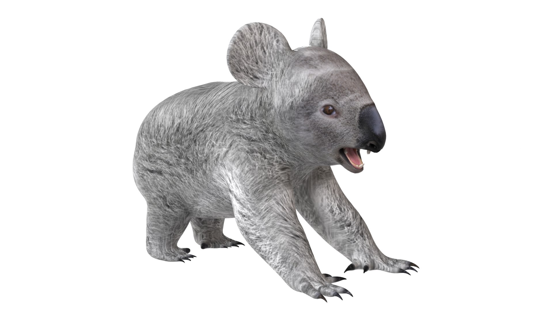 Koala 3D model https://p.turbosquid.com/ts-thumb/jo/eDF59P/7m/2/jpg/1785210990/1920x1080/fit_q87/8e6a6ec0844fbd70aeb7fc1b2940fc1395429755/2.jpg