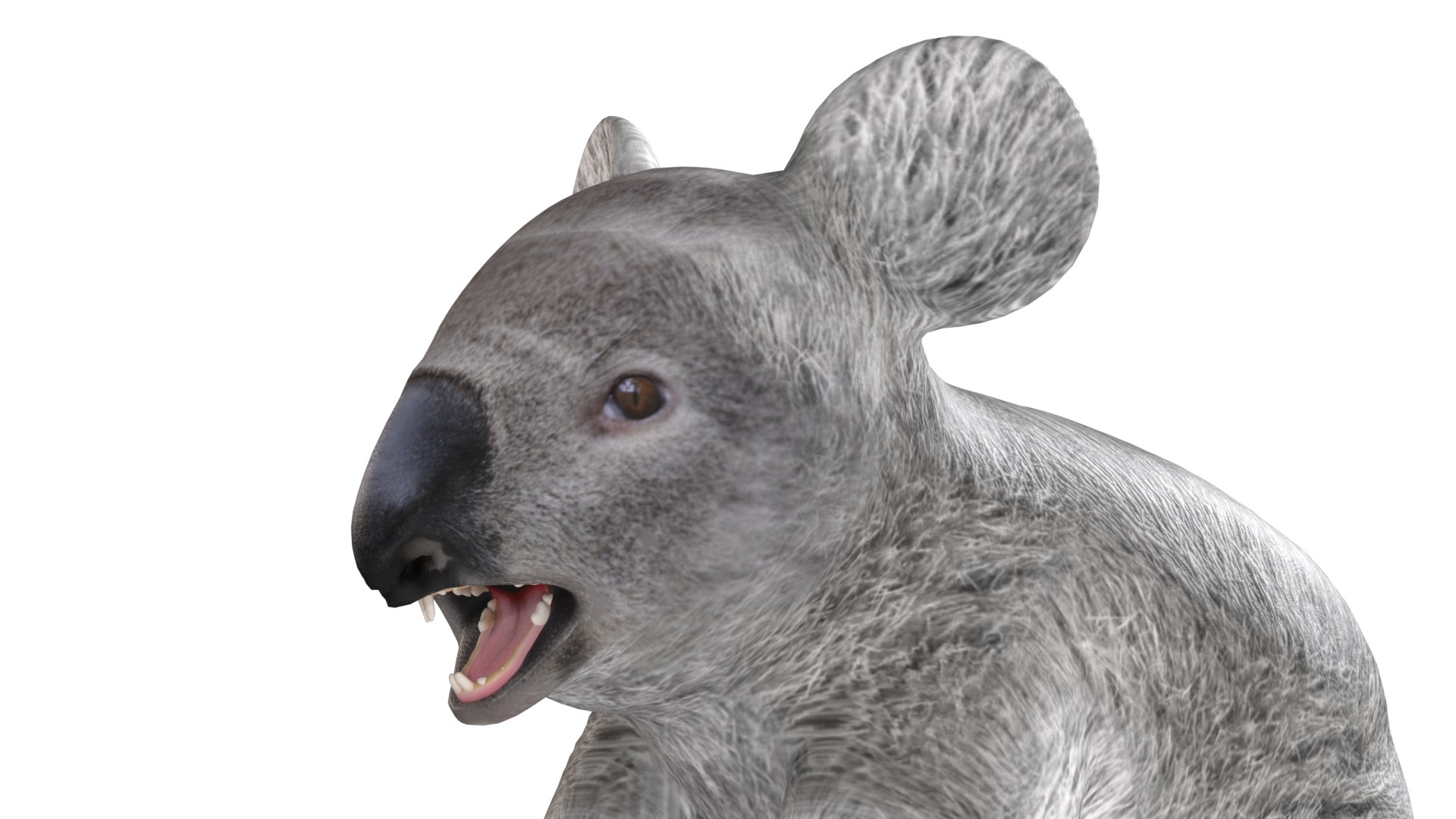 Koala 3D model https://p.turbosquid.com/ts-thumb/jo/eDF59P/Zq/5/jpg/1785211036/1920x1080/fit_q87/a09676de0abab89cff6ce9c16da52aefb092ba64/5.jpg