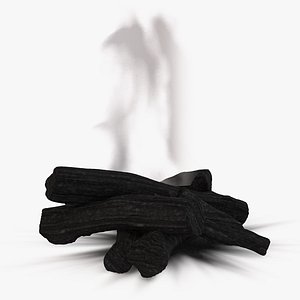 3D camp extinguished