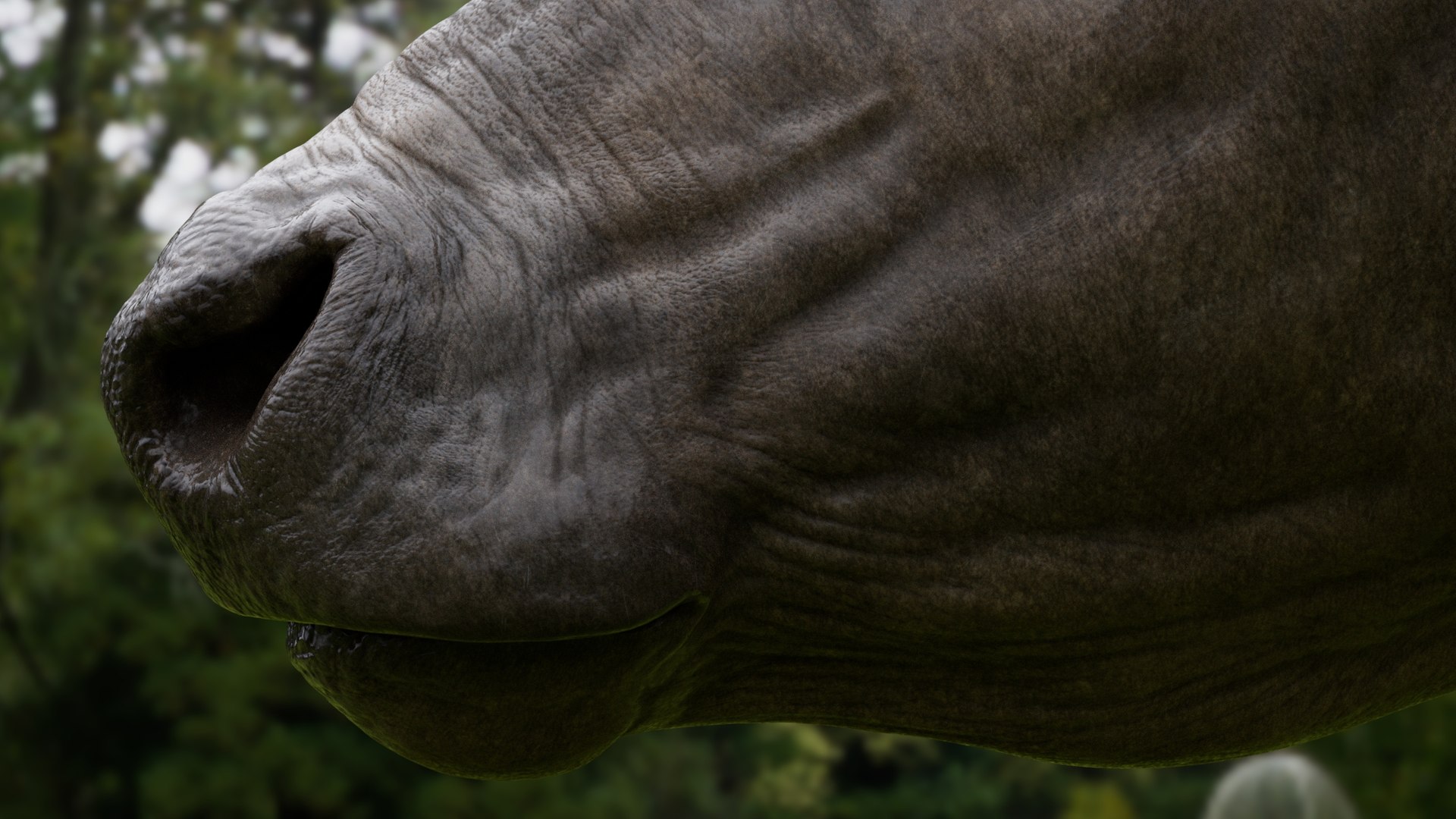 3D model water buffalo Bubalus bubalis Asian VFX https://p.turbosquid.com/ts-thumb/jo/x1DIOL/Q4/qa9/jpg/1749919154/1920x1080/fit_q87/589bf0ea4fbd5abecbf62c3d3d64f061cb6f7aca/qa9.jpg