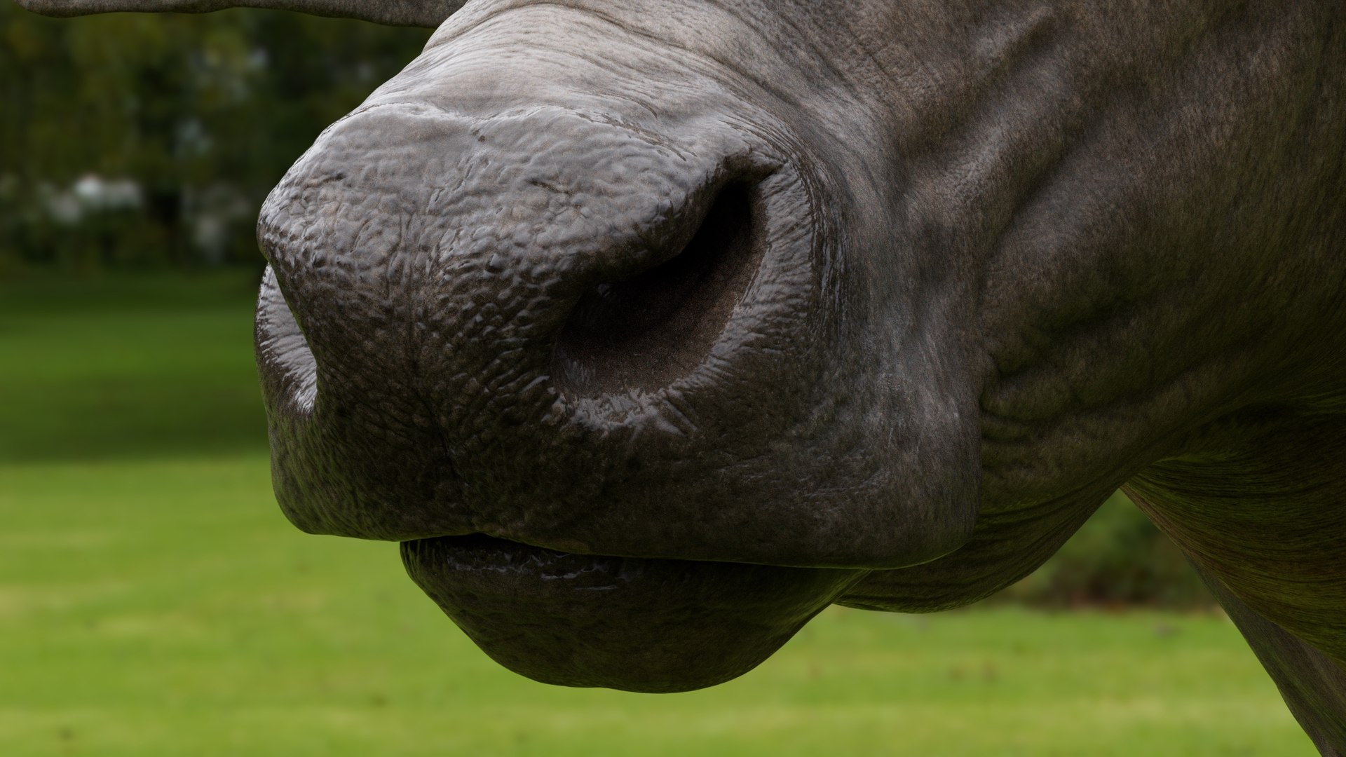 3D model water buffalo Bubalus bubalis Asian VFX https://p.turbosquid.com/ts-thumb/jo/x1DIOL/pD/qa6c/jpg/1749918991/1920x1080/fit_q87/daa23d50b04fd809605e77e2fa91debbd697004b/qa6c.jpg