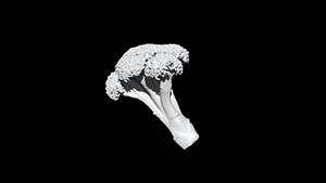 3D model broccoli  cut 3D CT scan model 2 decimate 3percent